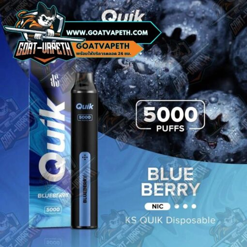KS QUIK 5000 Puffs Blueberry
