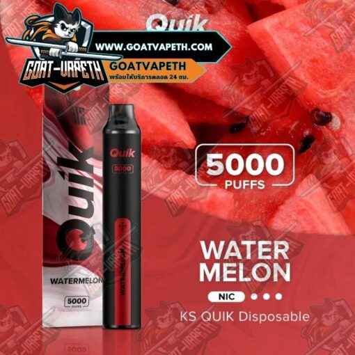 KS QUIK 5000 Puffs Watermelon