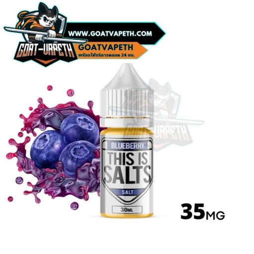 This Is Salts Blueberry Saltnic 30ml