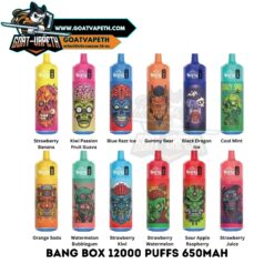 Bang Box 12000 Puffs
