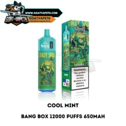Bang Box 12000 Puffs Cool Mint