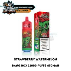 Bang Box 12000 Puffs Strawberry Watermelon