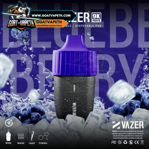 Vazer 9000 Puffs Blueberry