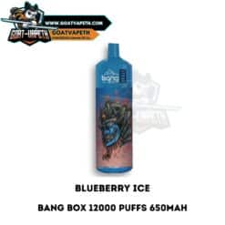 Bang Box 12000 Puffs Blueberry Ice