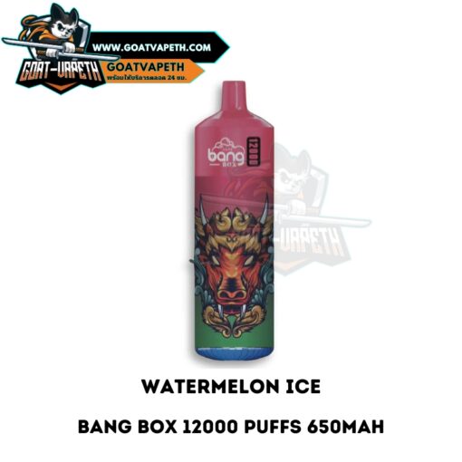 Bang Box 12000 Puffs Watermelon Ice