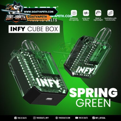 Infy Cube Box Spring Green