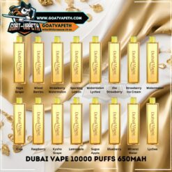 Dubai Vape 10000 Puffs