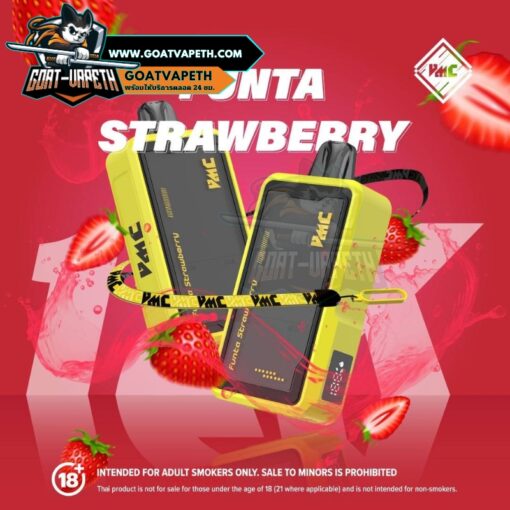 VMC 12000 Puffs Funta Strawberry