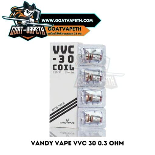 Vandy Vape VVC 30 0.3ohm Coil Pack